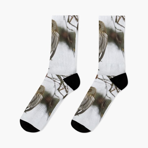 Item preview, Kiss. Mealy redpoll designed and sold by Jouko Lehto Photography.