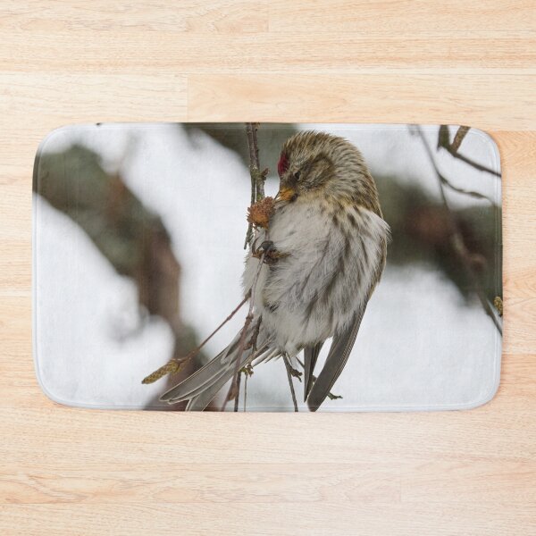 Item preview, Kiss. Mealy redpoll designed and sold by Jouko Lehto Photography.