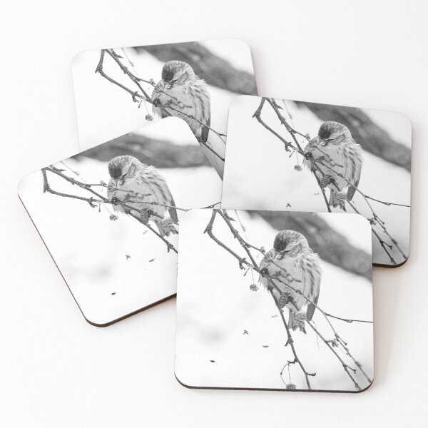 Item preview, Spreading the seeds. Mealy redpoll bw designed and sold by Jouko Lehto Photography.