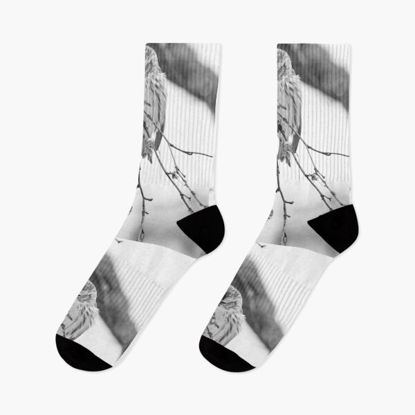 Item preview, Spreading the seeds. Mealy redpoll bw designed and sold by Jouko Lehto Photography.