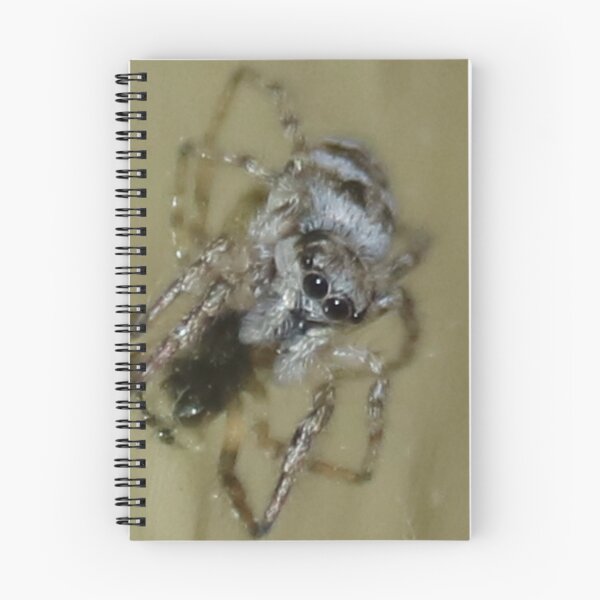 Item preview, Zebra Jumping Spider designed and sold by AnnDixon.
