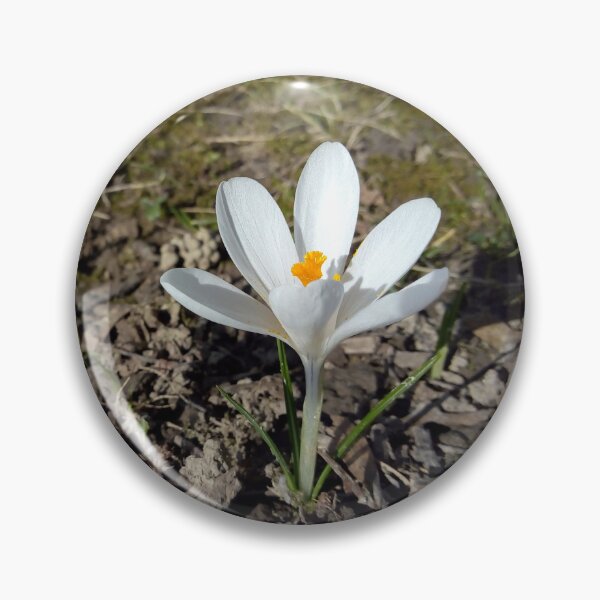 Item preview, Crocus flower field 12 original artwork designed and sold by paragonDesign28.