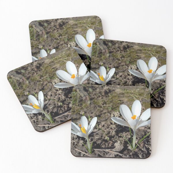 Item preview, Crocus flower field 12 original artwork designed and sold by paragonDesign28.
