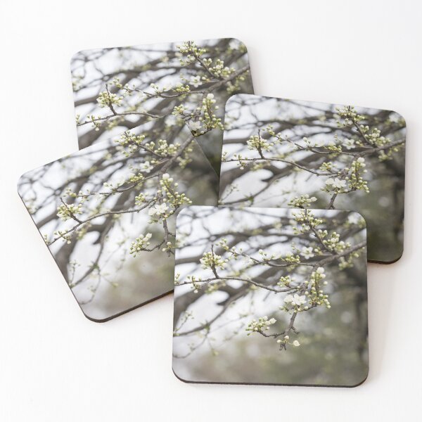 Item preview, Spring is Coming - First Blossoms Open on a Plum Tree designed and sold by Georgia Mizuleva.