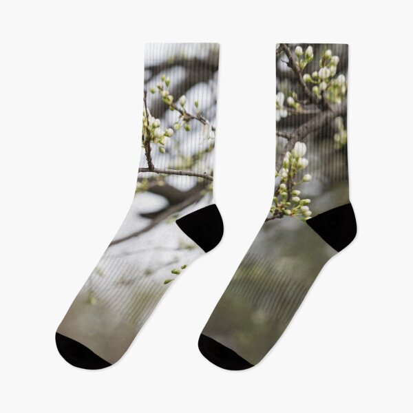 Item preview, Spring is Coming - First Blossoms Open on a Plum Tree designed and sold by Georgia Mizuleva.