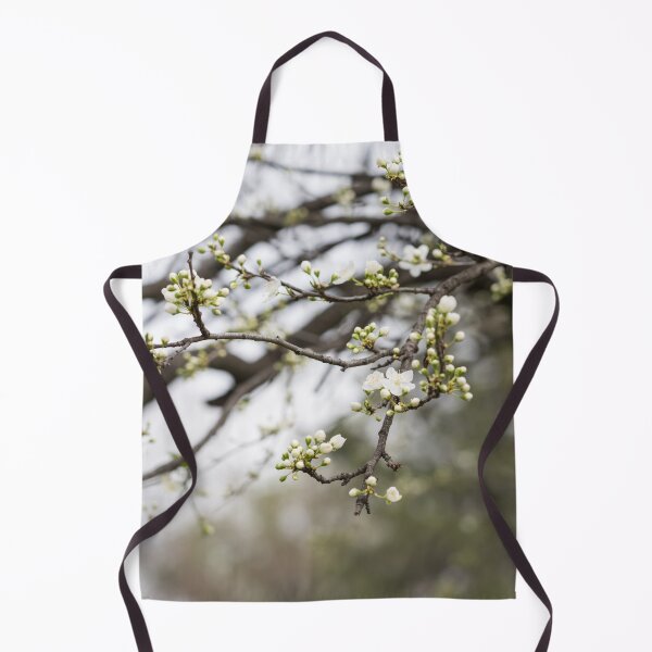 Item preview, Spring is Coming - First Blossoms Open on a Plum Tree designed and sold by Georgia Mizuleva.