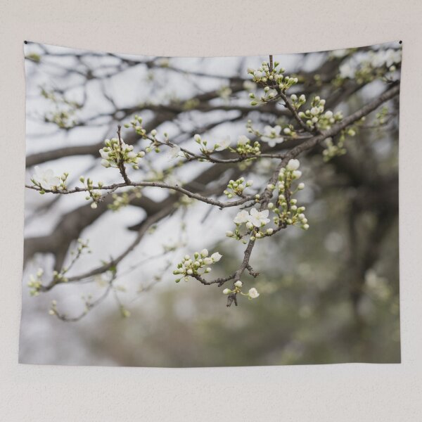 Item preview, Spring is Coming - First Blossoms Open on a Plum Tree designed and sold by Georgia Mizuleva.