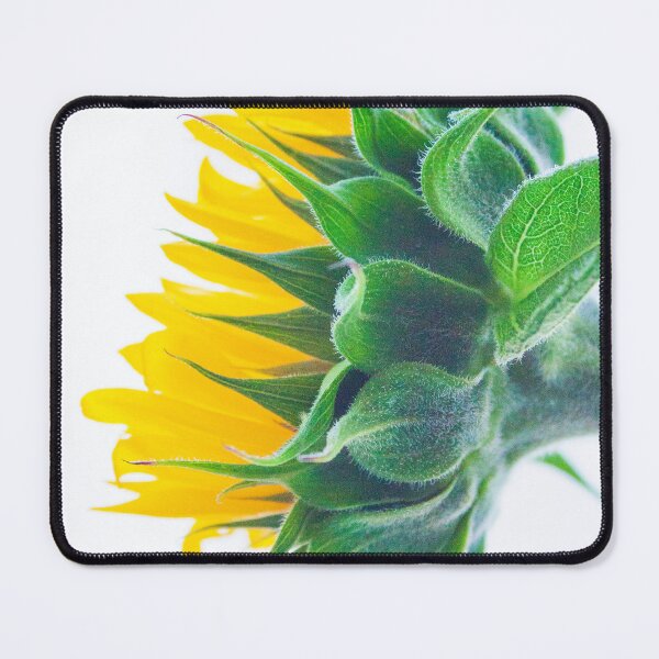 Item preview, girassol II. sunflower designed and sold by Tereza Pilar Art.