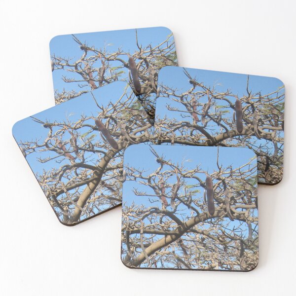 Item preview, seed pod and autumn effect on the tree leaf designed and sold by sadeek1021953Ss.