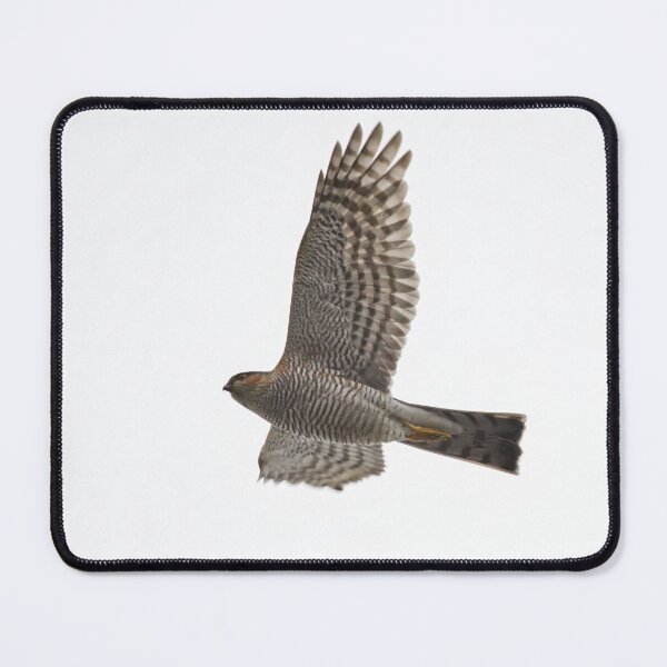 Item preview, Fly on. Eurasian sparrowhawk designed and sold by Jouko Lehto Photography.