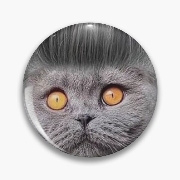 Item preview, Cool Funny Black Cat designed and sold by barkandmeow.