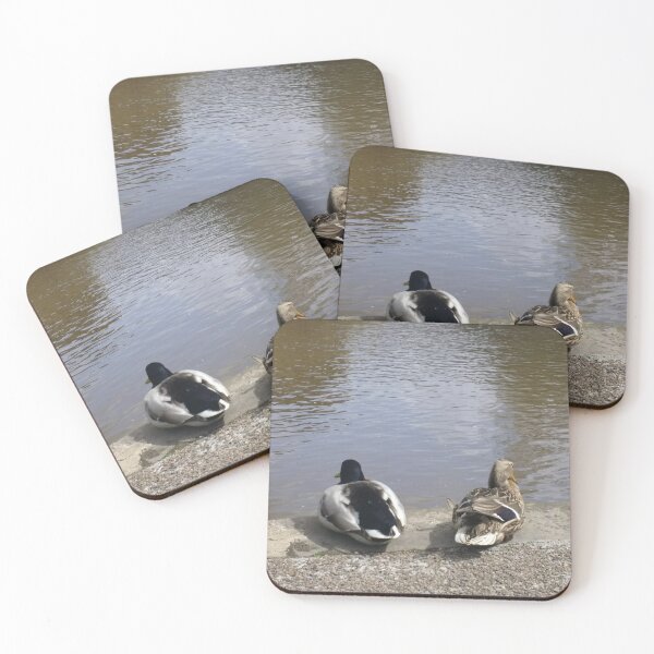Item preview, #324 |☼| Two Ducks At The Water's Edge (Bakewell) designed and sold by Naean H.F. (Nez Man).
