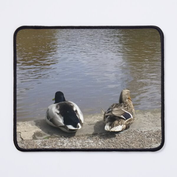 Item preview, #324 |☼| Two Ducks At The Water's Edge (Bakewell) designed and sold by Naean H.F. (Nez Man).