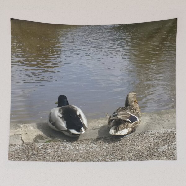 Item preview, #324 |☼| Two Ducks At The Water's Edge (Bakewell) designed and sold by Naean H.F. (Nez Man).