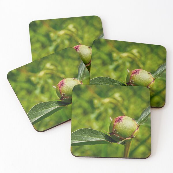 Item preview, Almost Flower designed and sold by ThomasFoto.