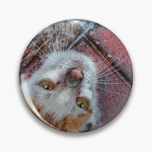 Item preview, Kitty gaze designed and sold by gethiraved.