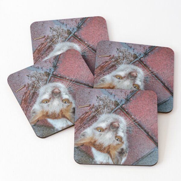 Item preview, Kitty gaze designed and sold by gethiraved.