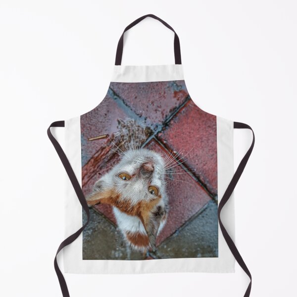 Item preview, Kitty gaze designed and sold by gethiraved.
