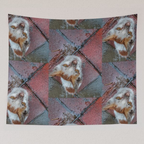 Item preview, Kitty gaze designed and sold by gethiraved.