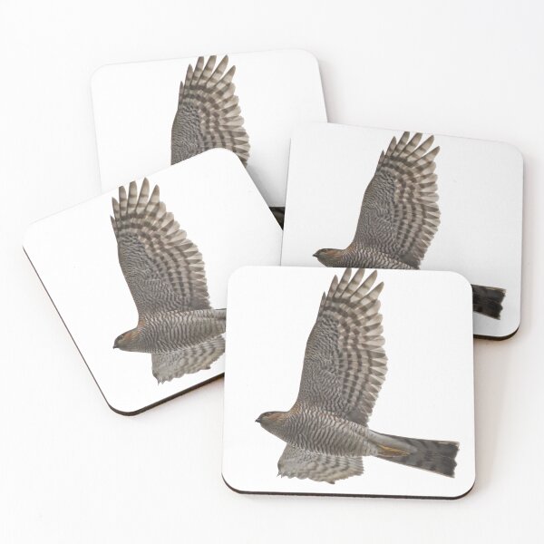 Item preview, Fly on. Eurasian sparrowhawk transparent designed and sold by Jouko Lehto Photography.