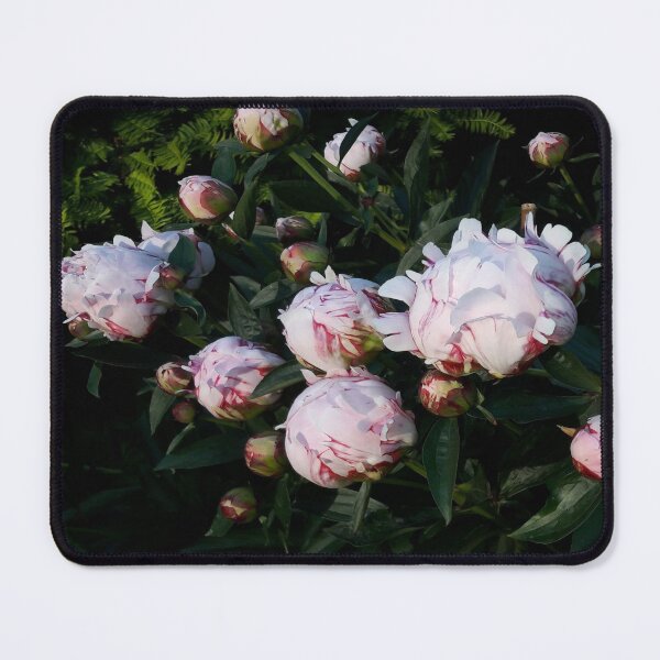 Item preview, Peony knobs designed and sold by Robert Elfferich.