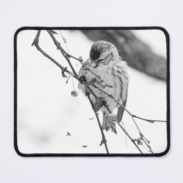 Item preview, Spreading the seeds. Mealy redpoll bw designed and sold by Jouko Lehto Photography.