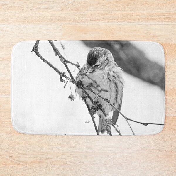 Item preview, Spreading the seeds. Mealy redpoll bw designed and sold by Jouko Lehto Photography.