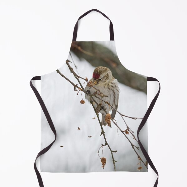 Item preview, Spreading the seeds. Mealy redpoll designed and sold by Jouko Lehto Photography.