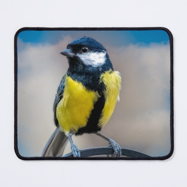 Item preview, The Great Tit designed and sold by AJEvans.