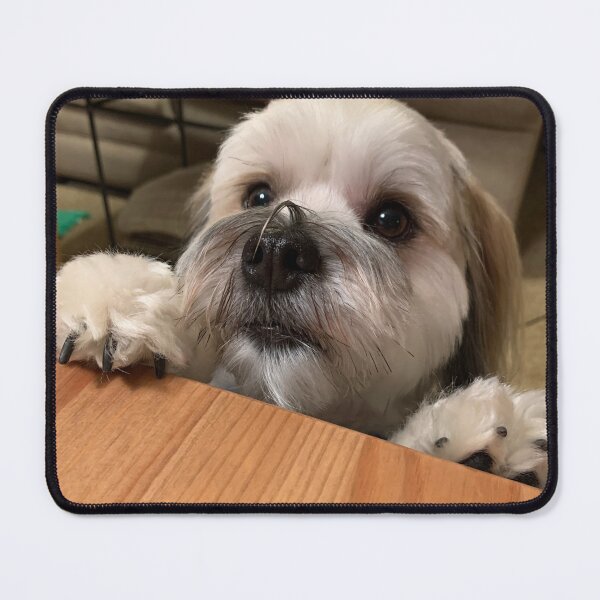 Item preview, Rocky at the Table designed and sold by JE Hough.