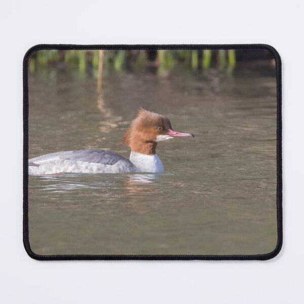 Item preview, Goosander designed and sold by LaurenTucker.