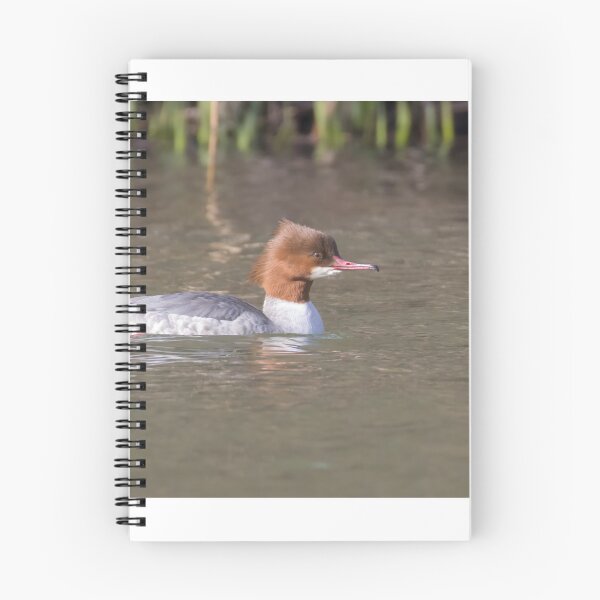 Item preview, Goosander designed and sold by LaurenTucker.