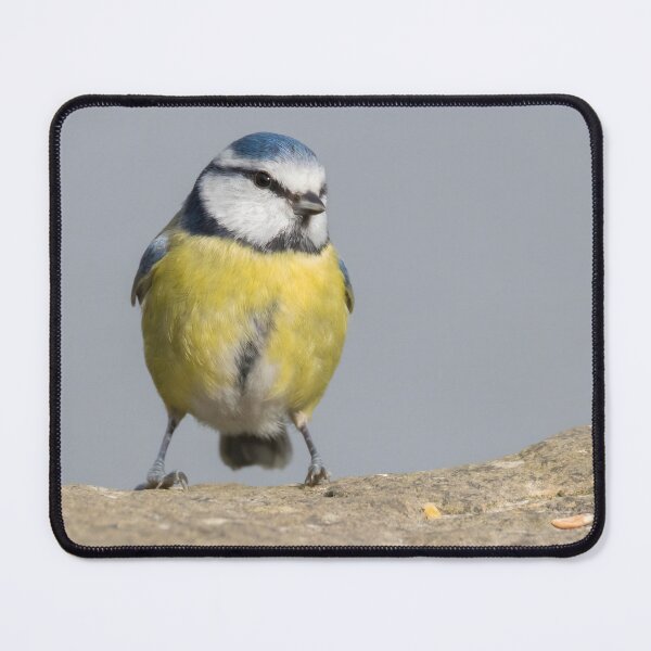 Item preview, Blue Tit designed and sold by LaurenTucker.