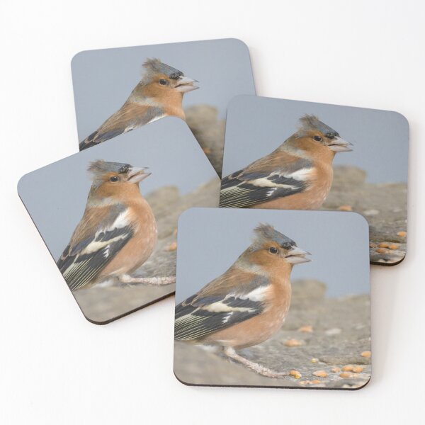 Item preview, Chaffinch designed and sold by LaurenTucker.