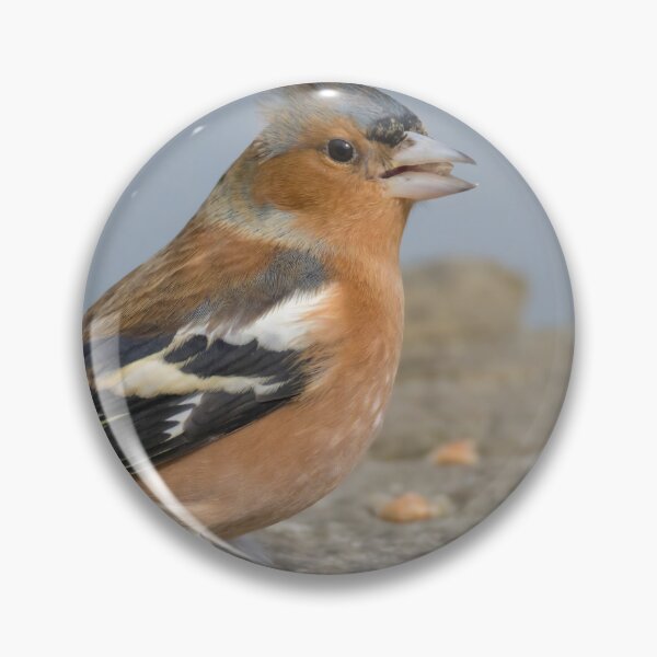 Item preview, Chaffinch designed and sold by LaurenTucker.