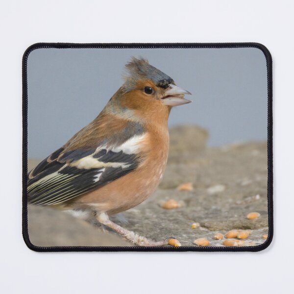 Item preview, Chaffinch designed and sold by LaurenTucker.