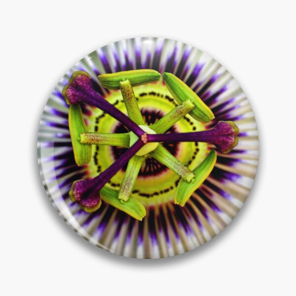 Item preview, Passion Flower Summer Flowering Plant designed and sold by AndyEvansPhotos.