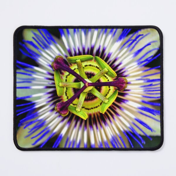 Item preview, Passion Flower Summer Flowering Plant designed and sold by AndyEvansPhotos.