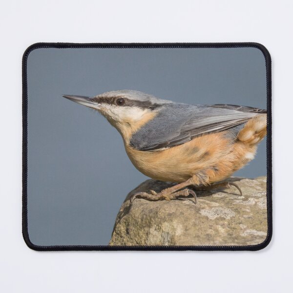 Item preview, Eurasian Nuthatch designed and sold by LaurenTucker.