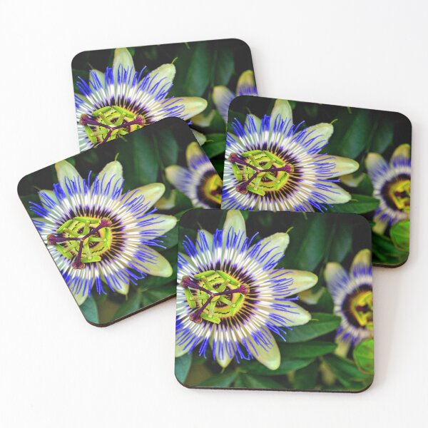 Item preview, Passion Flower Summer Flowering Plant designed and sold by AndyEvansPhotos.