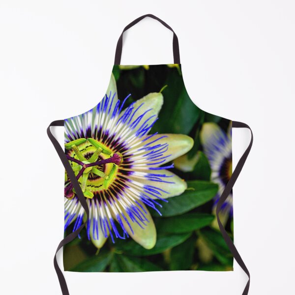 Item preview, Passion Flower Summer Flowering Plant designed and sold by AndyEvansPhotos.