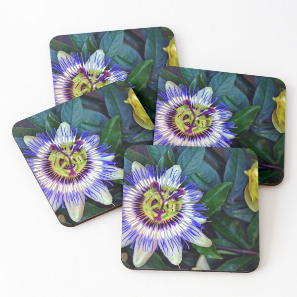 Item preview, Passion Flower Summer Flowering Plant designed and sold by AndyEvansPhotos.