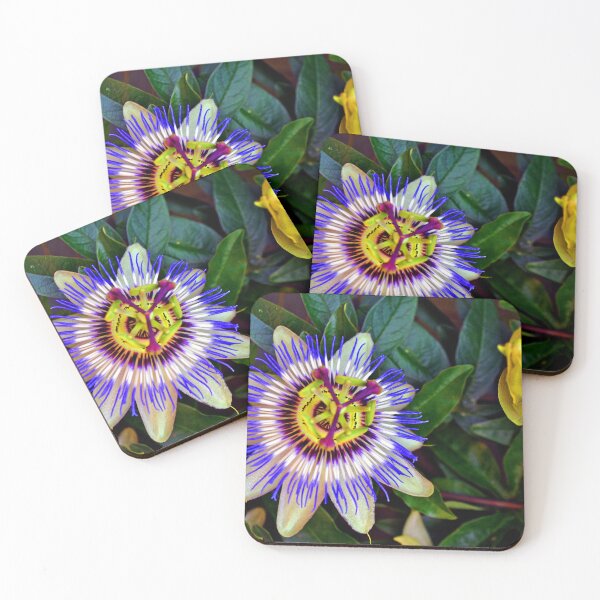 Item preview, Passion Flower Summer Flowering Plant designed and sold by AndyEvansPhotos.