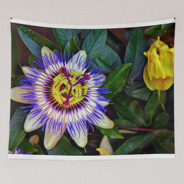 Item preview, Passion Flower Summer Flowering Plant designed and sold by AndyEvansPhotos.