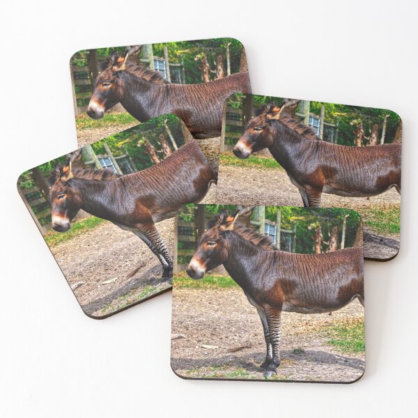 Item preview, Zebroid a cross between a zebra and a donkey designed and sold by Peter Etchells.