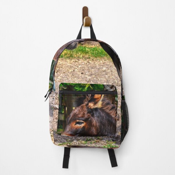 Item preview, Zebroid a cross between a zebra and a donkey designed and sold by Peter Etchells.