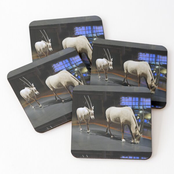 Item preview, vr 3627 / finition 2023 - 27 - " Jardin des Plantes Paris " La Grande évolution " Oryx gazelle  - Okaio Créations  Olavia-Olao designed and sold by o.okaïo.