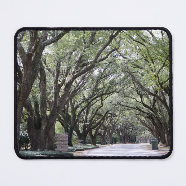 Item preview, Georgetown Oak Street designed and sold by Cynthia48.