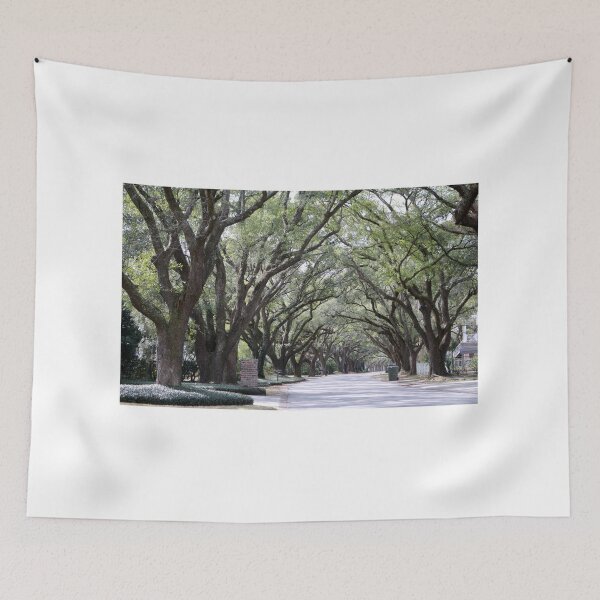 Item preview, Georgetown Oak Street designed and sold by Cynthia48.