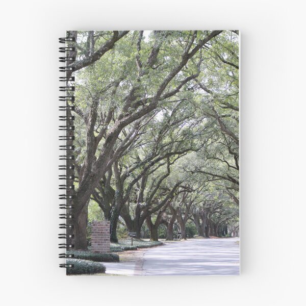 Item preview, Georgetown Oak Street designed and sold by Cynthia48.